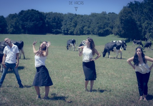 O Museo do Humor de Fene conmemora este mércores o Día dos Museos cun concerto de “De vacas”